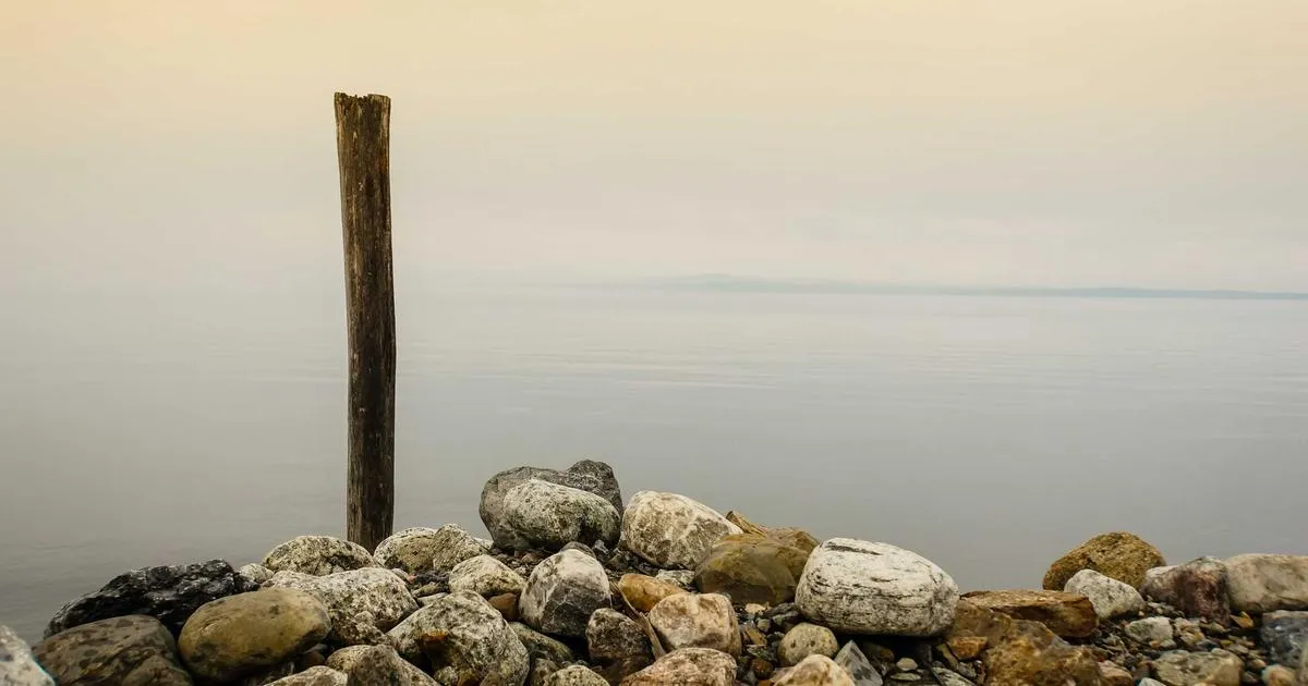 Microplastiques dans l’eau : cette astuce simple permet de les éliminer efficacement